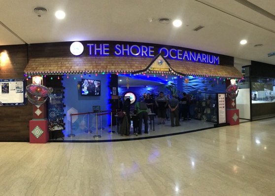 海洋水族馆 The Shore Ocenarium